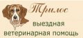 Выездная ветеринарная служба "Трилос"