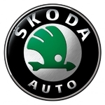 Чип-тюнинг Skoda