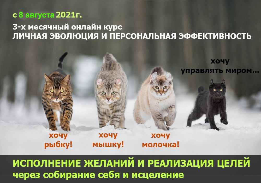 3-х месячный трансформационный онлайн-курс Личной Эволюции и Персональной Эффективности